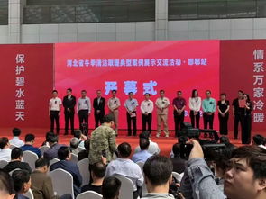 河北清潔取暖新篇章 林洋清潔供暖解決方案點亮冬季